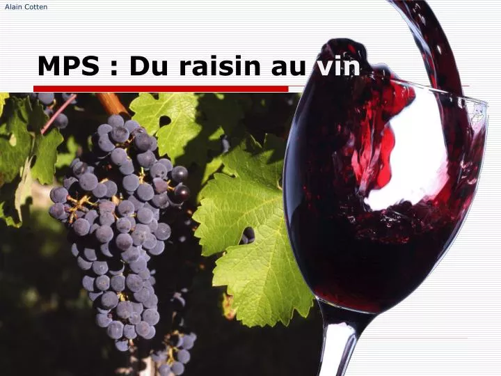 mps du raisin au vin