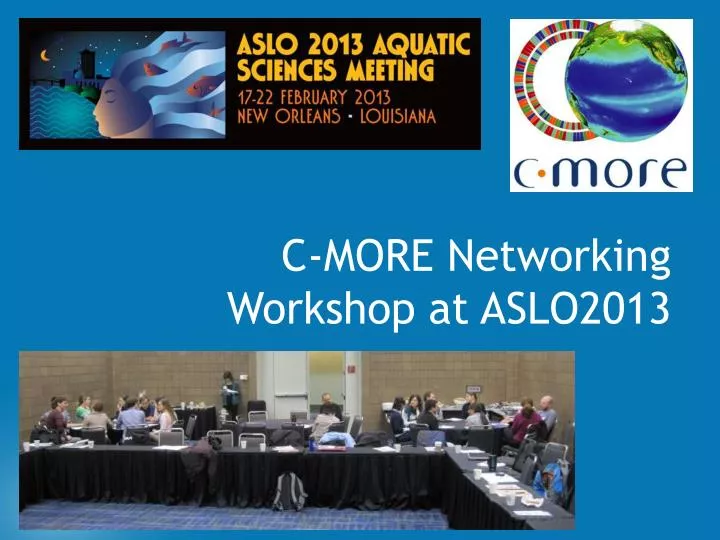 c more networking workshop at aslo2013