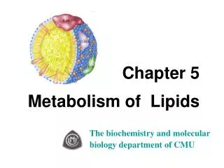 Chapter 5 Metabolism of Lipids