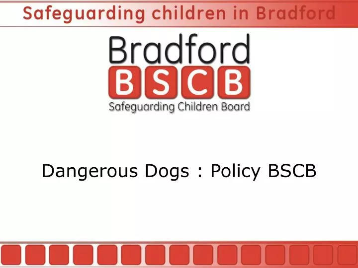 dangerous dogs policy bscb