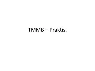 TMMB – Praktis.