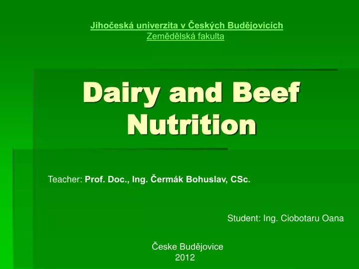 dairy and beef nutrition