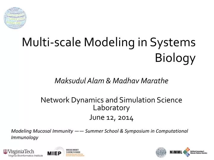 multi scale modeling in systems biology