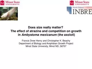 Does size really matter? The effect of atrazine and competition on growth