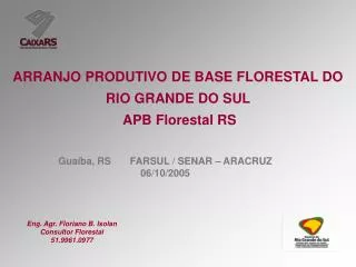 ARRANJO PRODUTIVO DE BASE FLORESTAL DO RIO GRANDE DO SUL APB Florestal RS