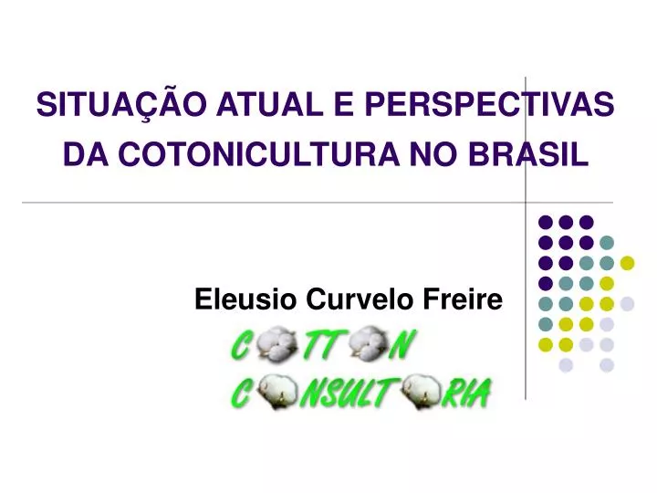 situa o atual e perspectivas da cotonicultura no brasil