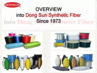 OVERVIEW into Dong Sun Synthetic Fiber