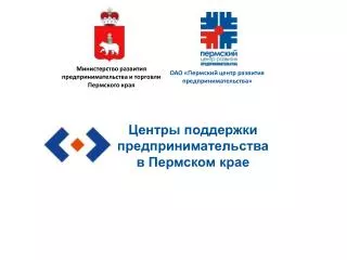 Центры поддержки предпринимательства в Пермском крае