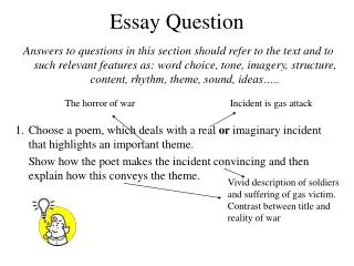 Essay Question