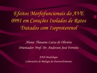 Efeitos Morfofuncionais do AVE 0991 em Corações Isolados de Ratos Tratados com Isoproterenol