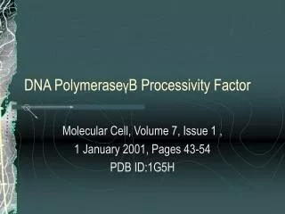 DNA Polymerase γ B Processivity Factor