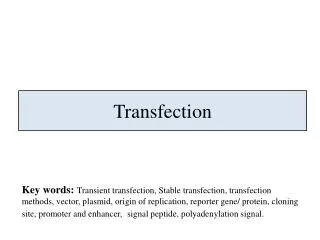Transfection