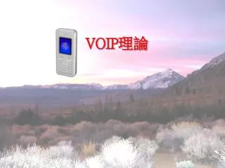 VOIP 理論