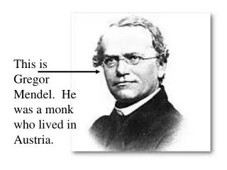 This is Gregor Mendel. He was a monk who lived in Austria.