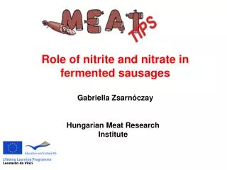 Hungarian Meat Research Institute
