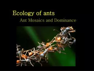 Ecology of ants
