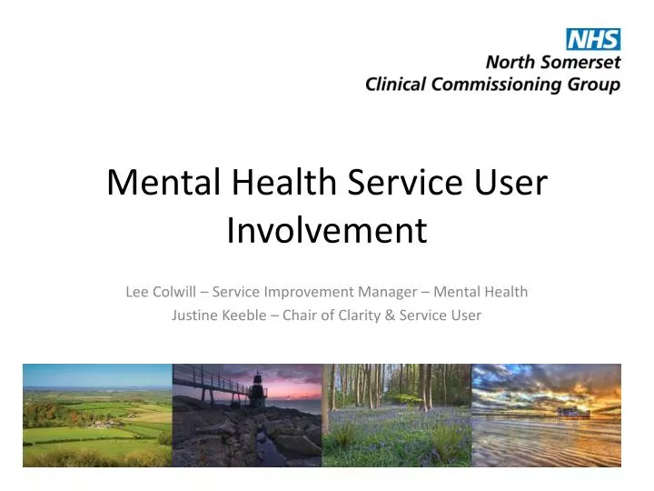 mental health service user involvement