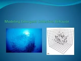 Modeling Emergent Collective Behavior