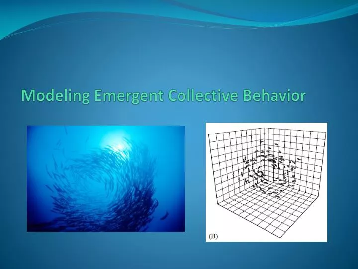 modeling emergent collective behavior