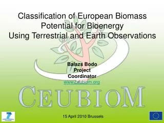 Classification of European Biomass Potential for Bioenergy