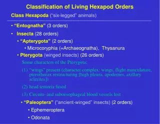 Classification of Living Hexapod Orders