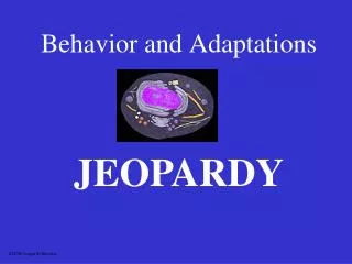 Behavior and Adaptations