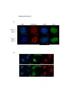 Supplemental figure 2 - slide 1