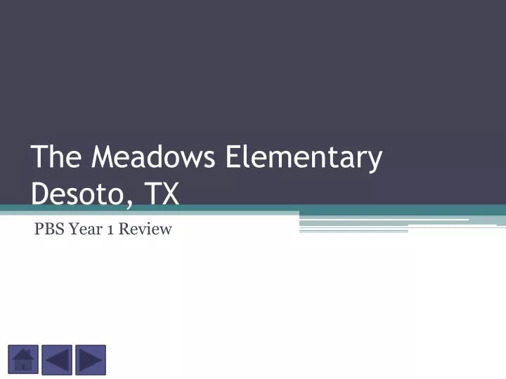 the meadows elementary desoto tx