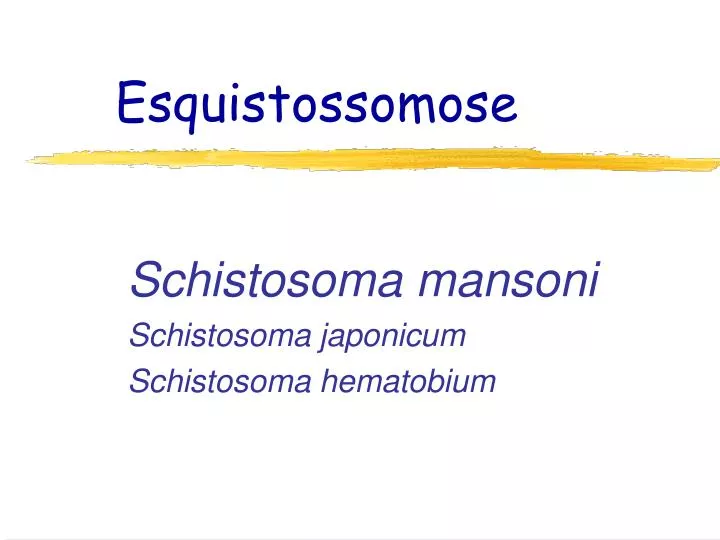 esquistossomose