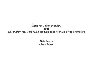 Gene regulation overview and Saccharomyces cerevisiae cell-type specific mating type promoters