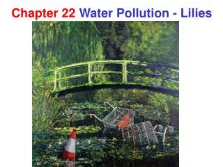 Chapter 22 Water Pollution - Lilies