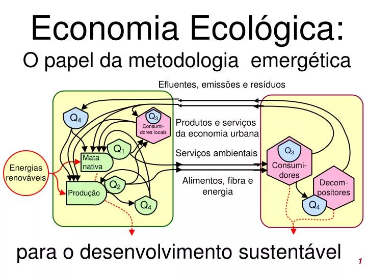 economia ecol gica o papel da metodologia emerg tica