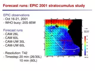 Forecast runs: EPIC 2001 stratocumulus study