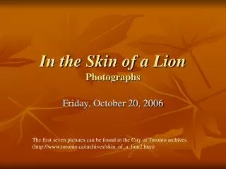 In the Skin of a Lion Photographs