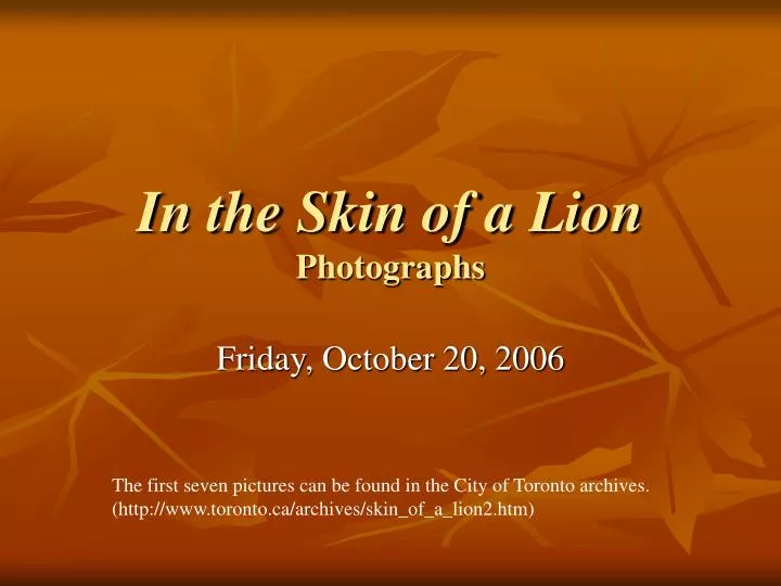 in the skin of a lion photographs