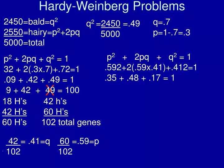 hardy weinberg problems