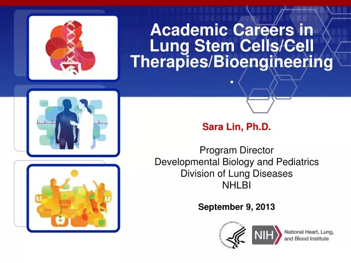academic careers in lung stem cells cell therapies bioengineering