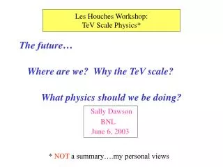 The future… Where are we? Why the TeV scale? What physics should we be doing? Sally Dawson
