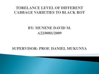 TORELANCE LEVEL OF DIFFERENT CABBAGE VARIETIES TO BLACK ROT BY: MUNENE DAVID M. A22/0081/2009
