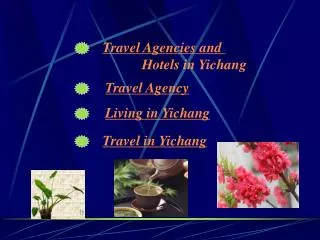 Travel Agencies and Hotels in Yichang