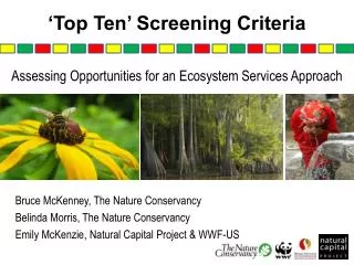‘Top Ten’ Screening Criteria