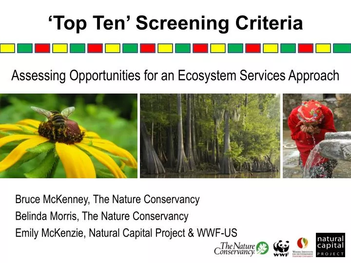 top ten screening criteria