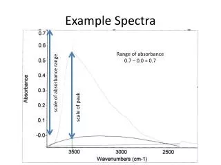 Example Spectra