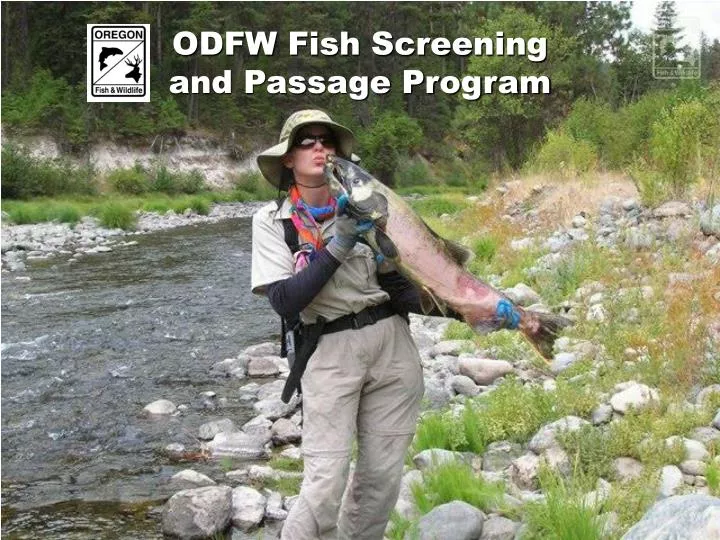 odfw fish screening and passage program