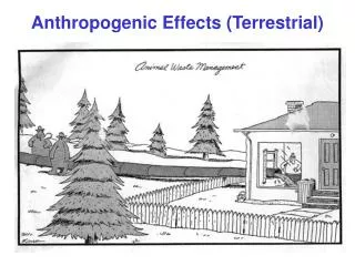 Anthropogenic Effects (Terrestrial)