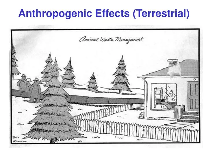 anthropogenic effects terrestrial