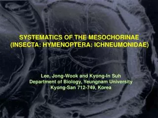 SYSTEMATICS OF THE MESOCHORINAE (INSECTA: HYMENOPTERA: ICHNEUMONIDAE)