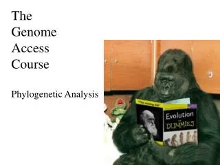 The Genome Access Course Phylogenetic Analysis