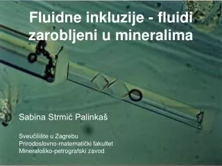 Fluidne inkluzije - fluidi zarobljeni u mineralima