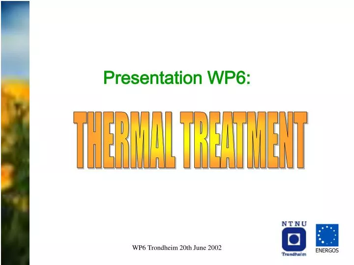 presentation wp6
